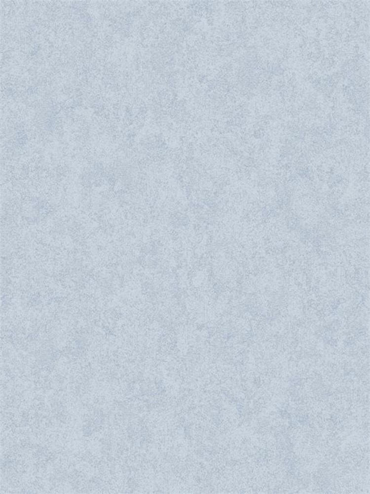 Обои 1,06*10м Erismann Профи Деко/Profi Deco Pablo 60462-07 60462-07