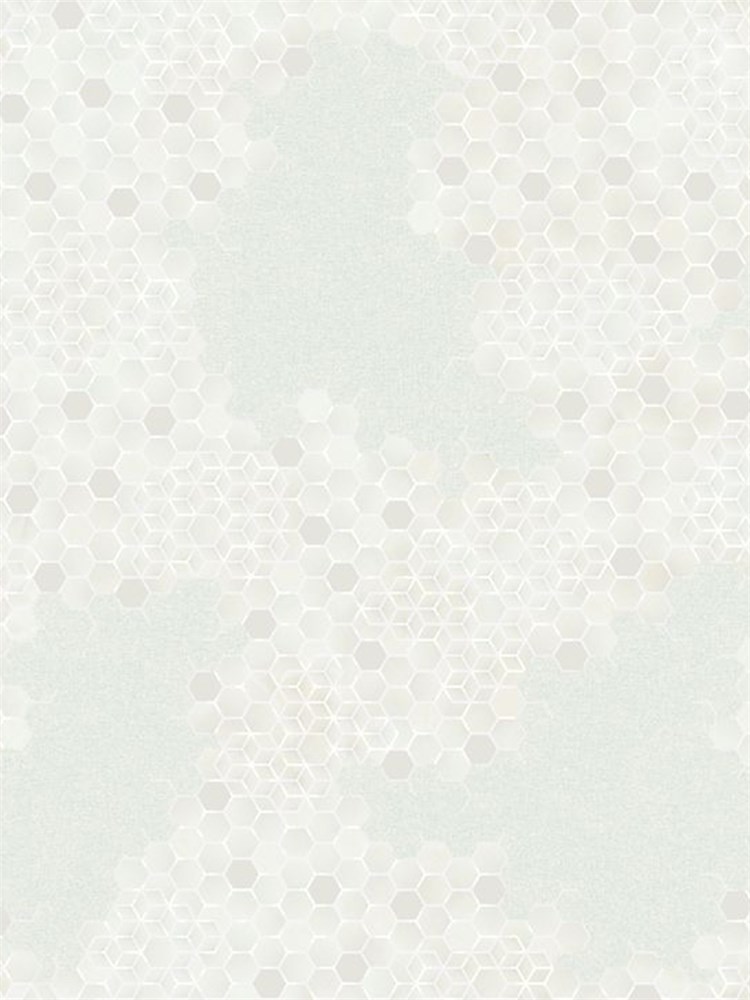 Обои 1,06*10м Erismann Профи Деко ОПУС/Profi Deco OPUS 60365-05 60365-05