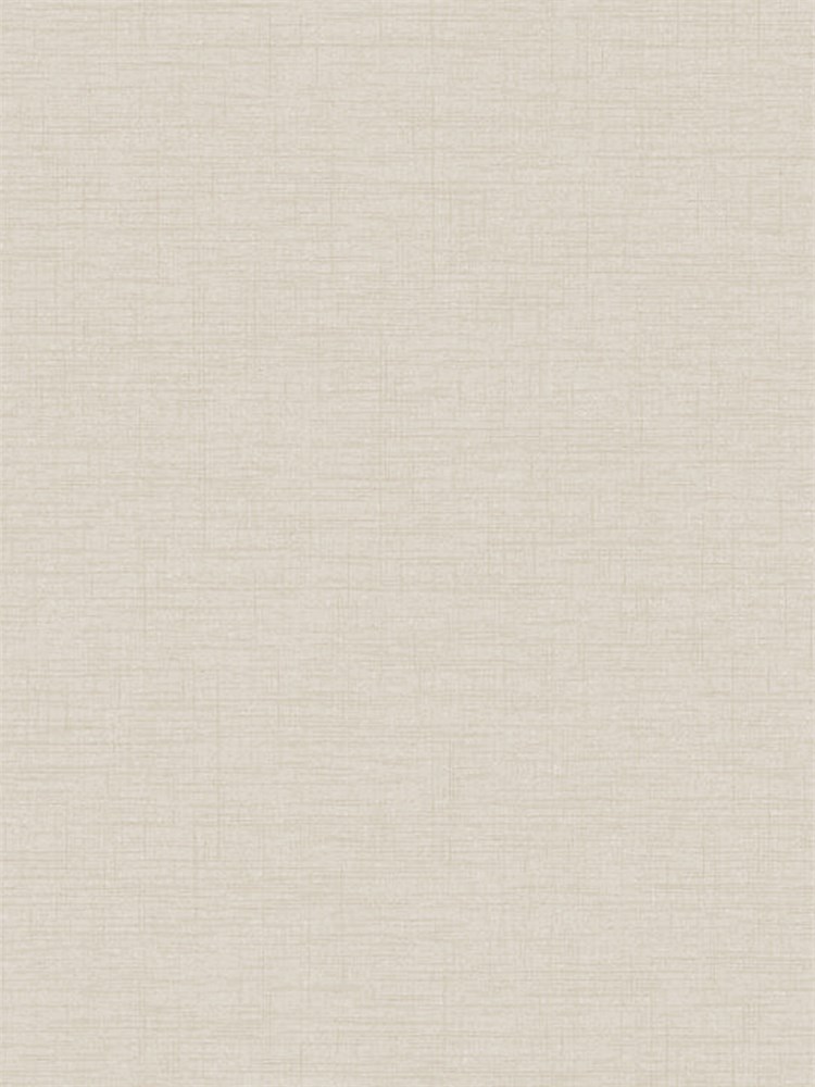 Обои 1,06*10м Erismann Профи Деко ОПУС/Profi Deco OPUS 60355-04 60355-04
