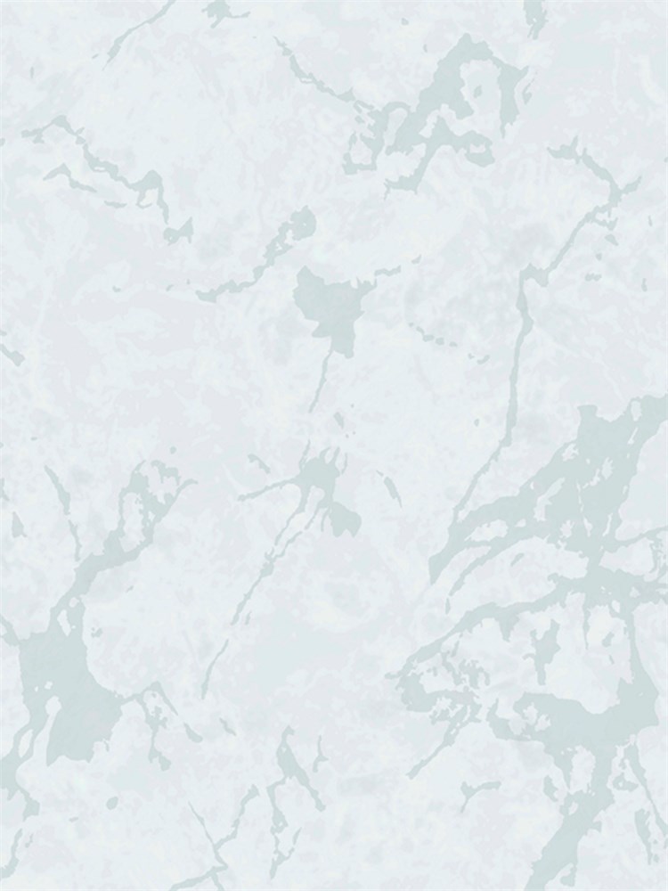 Обои 1,06*10м Erismann Меридиан/Meridian 60630-05 60630-05