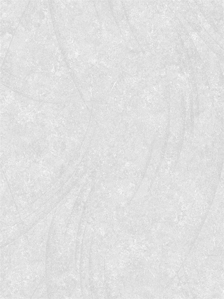 Обои 1,06*10м Erismann Бенефит Рок/Benefit Rock 60429-05 60429-05