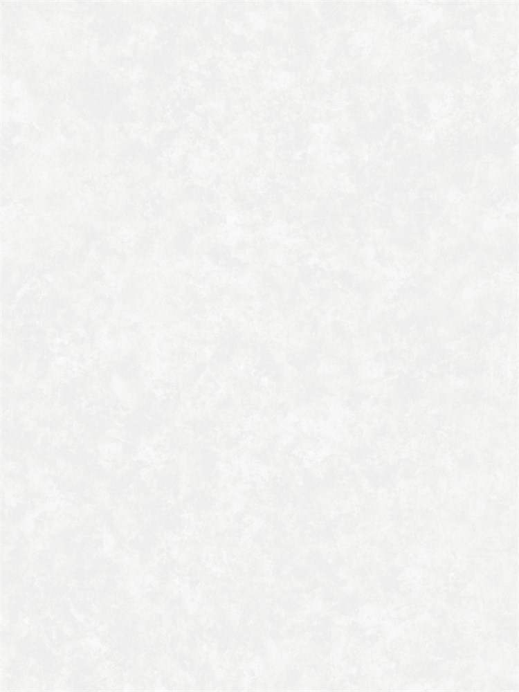 Обои 1,06*10м Erismann Дизель 61110-02 61110-02