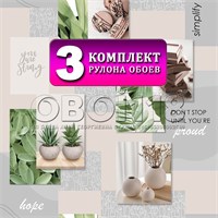 {{productViewItem.photos[photoViewList.activeNavIndex].Alt || productViewItem.photos[photoViewList.activeNavIndex].Description || 'Комплект 3 рулона. Обои Рапсодия 13650 (3) бумажные моющиеся 3 шт х (0,53х10м) ФОКС'}}