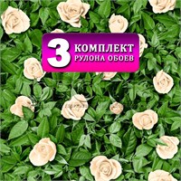 {{productViewItem.photos[photoViewList.activeNavIndex].Alt || productViewItem.photos[photoViewList.activeNavIndex].Description || 'Комплект 3 рулона. Обои Любава 1308-1 (3) бумажные моющиеся 3 шт х (0,53х10м) Пермские обои'}}