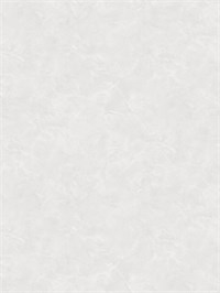 {{photo.Alt || photo.Description || 'Обои 1,06*10м Victoria Stenova Manifest/Манифест 588550'}}