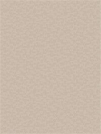 {{photo.Alt || photo.Description || 'Обои 1,06*10м Victoria Stenova Tetris/Тетрис 589406'}}