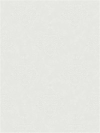 {{photo.Alt || photo.Description || 'Обои 1,06*10м Victoria Stenova SHAKIRA/Шакира 589193'}}