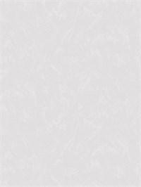 {{photo.Alt || photo.Description || 'Обои 1,06*10м Victoria Stenova SHAKIRA/Шакира 589205'}}