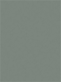 {{photo.Alt || photo.Description || 'Обои 1,06*10м BelVinil Левадия фон 1081-72'}}