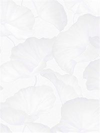 {{photo.Alt || photo.Description || 'Обои 1,06*10м Erismann Лотос Profi Deco/Lotos Profi Deco 60714-01'}}