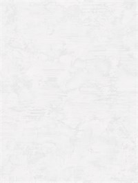 {{photo.Alt || photo.Description || 'Обои 1,06*10м Erismann Танзания/Tanzania 60396-02'}}