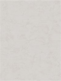 {{photo.Alt || photo.Description || 'Обои 1,06*10м Erismann Танзания/Tanzania 60396-06'}}