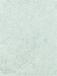 {{photo.Alt || photo.Description || 'Обои 1,06*10м Erismann Магдалена Profi Deco/Magdalena Profi Deco 60751-04'}}