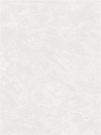 {{photo.Alt || photo.Description || 'Обои 1,06*10м Erismann Эмили/Emily 60237-04'}}