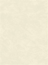{{photo.Alt || photo.Description || 'Обои 1,06*10м Erismann Эмили/Emily 60237-06'}}