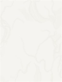 {{photo.Alt || photo.Description || 'Обои 1,06*10м Erismann Талисман/Talisman 60547-01'}}