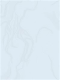 {{photo.Alt || photo.Description || 'Обои 1,06*10м Erismann Талисман/Talisman 60547-04'}}