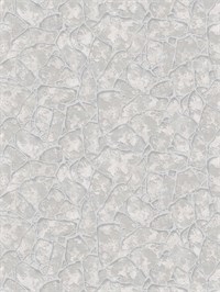 {{photo.Alt || photo.Description || 'Обои 1,06*10м Erismann Тайна/Mystery 60188-03'}}