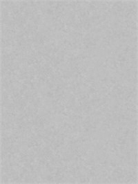 {{photo.Alt || photo.Description || 'Обои 1,06*10м Erismann Дизель 61110-05'}}