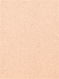 {{photo.Alt || photo.Description || 'Обои 1,06*10м Erismann Профи Деко/Profi Deco Apero 60505-05. Витринный рулон'}}