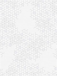 {{photo.Alt || photo.Description || 'Обои 1,06*10м Erismann Профи Деко ОПУС/Profi Deco OPUS 60365-01'}}