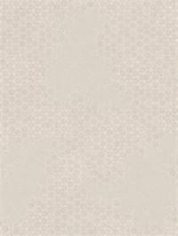 {{photo.Alt || photo.Description || 'Обои 1,06*10м Erismann Профи Деко ОПУС/Profi Deco OPUS 60365-04'}}