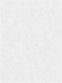{{photo.Alt || photo.Description || 'Обои 1,06*10м Erismann Богема/Bogema 60615-01'}}