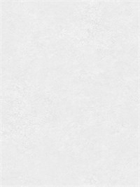 {{photo.Alt || photo.Description || 'Обои 1,06*10м Erismann Бенефит Рок/Benefit Rock 60648-02'}}