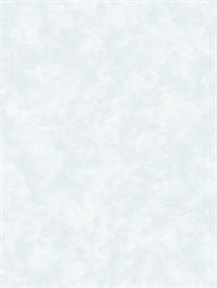 {{photo.Alt || photo.Description || 'Обои 1,06*10м Erismann Амур/Amur 60613-05'}}