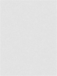 {{photo.Alt || photo.Description || 'Обои 1,06*10м Ateliero Колье/Collier 585300'}}