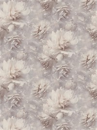 {{photo.Alt || photo.Description || 'Обои 1,06*10м Ateliero Белла/Bella 588697'}}