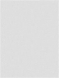 {{photo.Alt || photo.Description || 'Обои 1,06*10м Ateliero Панорама/Panorama 287827'}}
