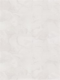 {{photo.Alt || photo.Description || 'Обои 1,06*10м PALITRA Эйфория 72328-12'}}