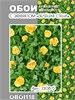 Комплект 3 рулона. Обои Любава 1308-5 (3) бумажные моющиеся 3 шт х (0,53х10м) Пермские обои 1308-5 (3)