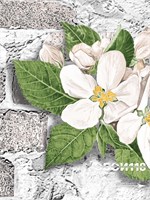 Обои бумажные моющиеся Брянские обои 0.53*10м (комплект 3 рулона) Крым 3 (3)