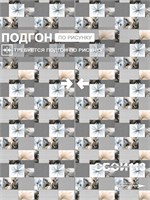 Обои 0,53*10м Gomel-FOX Фея 14280 14280