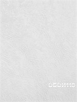 Обои 0,53*10м Пермские обои Потолочка 96-05 96-05