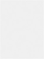 Обои 1,06*10м BelVinil Криспи 1084-11 1084-11