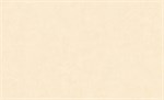 Обои 1,06*10м Erismann Свет/Light4 60271-04 60271-04