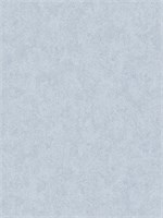 Обои 1,06*10м Erismann Профи Деко/Profi Deco Pablo 60462-07 60462-07