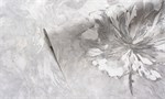 Обои 1,06*10м Ateliero Соня/Sonya 286617 286617