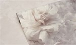 Обои 1,06*10м Ateliero Белла/Bella 588697 588697