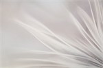 Обои 1,06*10м PALITRA Феличита 72483-24 72483-24