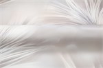Обои 1,06*10м PALITRA Феличита 72483-24 72483-24