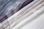 Обои 1,06*10м PALITRA Феличита 72483-24 72483-24
