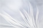 Обои 1,06*10м PALITRA Феличита 72483-41 72483-41