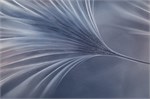 Обои 1,06*10м PALITRA Феличита 72483-64 72483-64