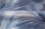 Обои 1,06*10м PALITRA Феличита 72483-64 72483-64