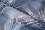 Обои 1,06*10м PALITRA Феличита 72483-64 72483-64
