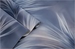 Обои 1,06*10м PALITRA Феличита 72483-64 72483-64
